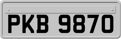 PKB9870