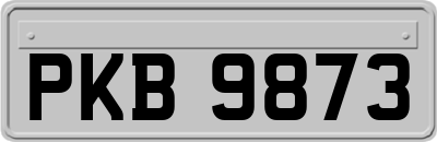 PKB9873