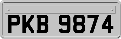 PKB9874