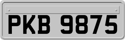 PKB9875