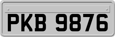 PKB9876