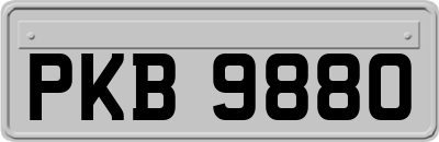 PKB9880