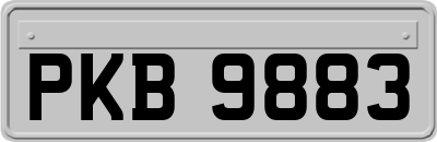 PKB9883