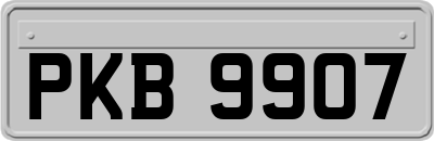 PKB9907