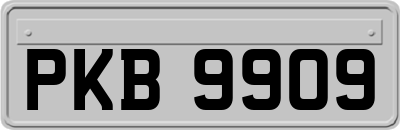 PKB9909