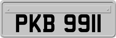 PKB9911