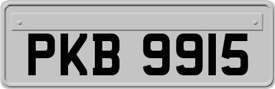 PKB9915