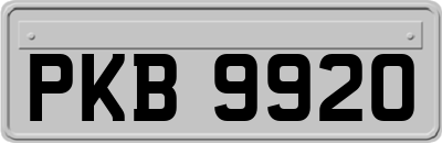 PKB9920