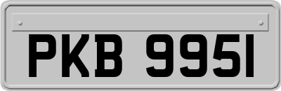 PKB9951