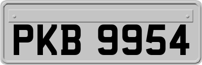PKB9954