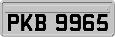 PKB9965