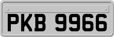 PKB9966