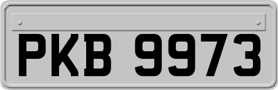 PKB9973
