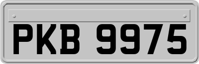 PKB9975