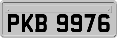 PKB9976