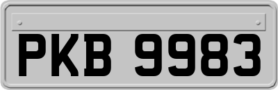 PKB9983