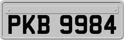 PKB9984