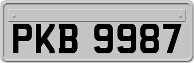PKB9987