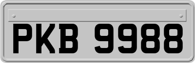 PKB9988