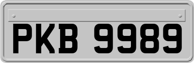 PKB9989