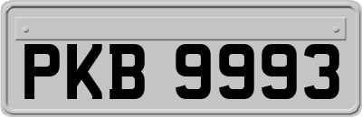 PKB9993