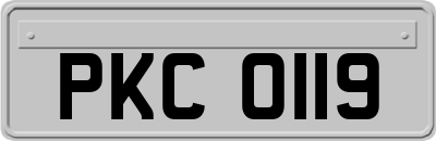 PKC0119