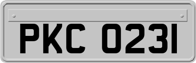 PKC0231