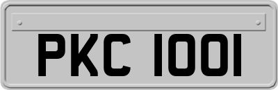 PKC1001