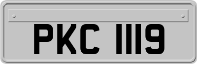 PKC1119