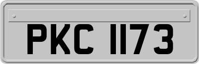 PKC1173