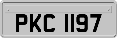 PKC1197