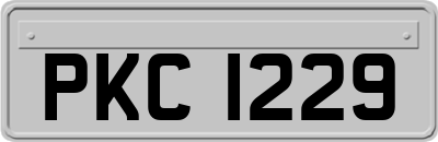 PKC1229