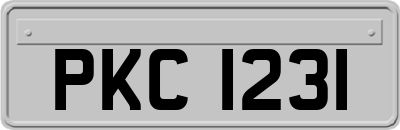 PKC1231
