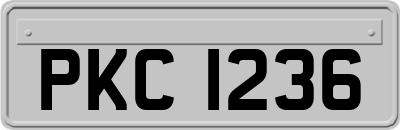 PKC1236
