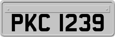 PKC1239