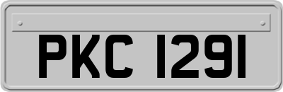 PKC1291