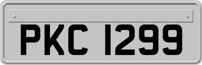 PKC1299