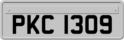 PKC1309