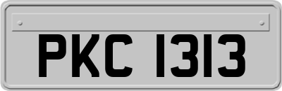 PKC1313
