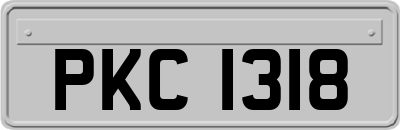 PKC1318