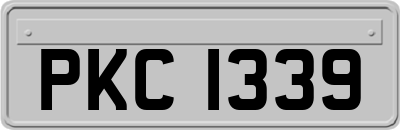 PKC1339
