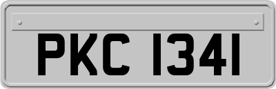PKC1341