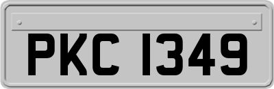 PKC1349