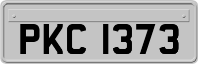 PKC1373