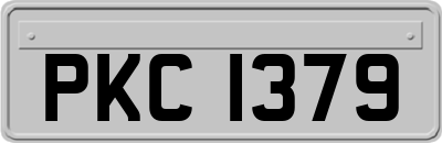 PKC1379