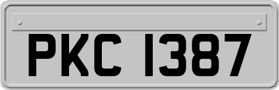 PKC1387