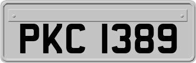 PKC1389