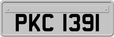 PKC1391