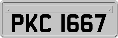 PKC1667