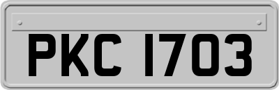 PKC1703